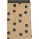 Cadeauzakje met stippen 12x19cm 200st Tpk265286
